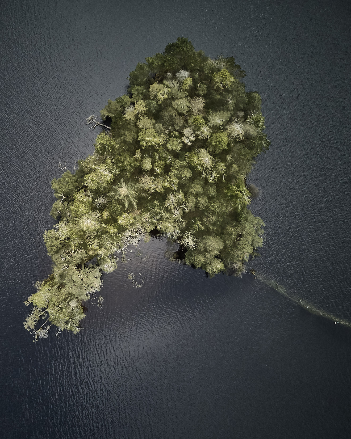 20180424-EdinburghDJI_0128-puxanphoto.com1